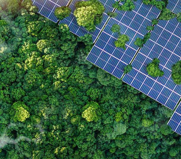 Sustentabilidade
com Propósito